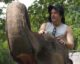Riding elephants in the Laos jungles