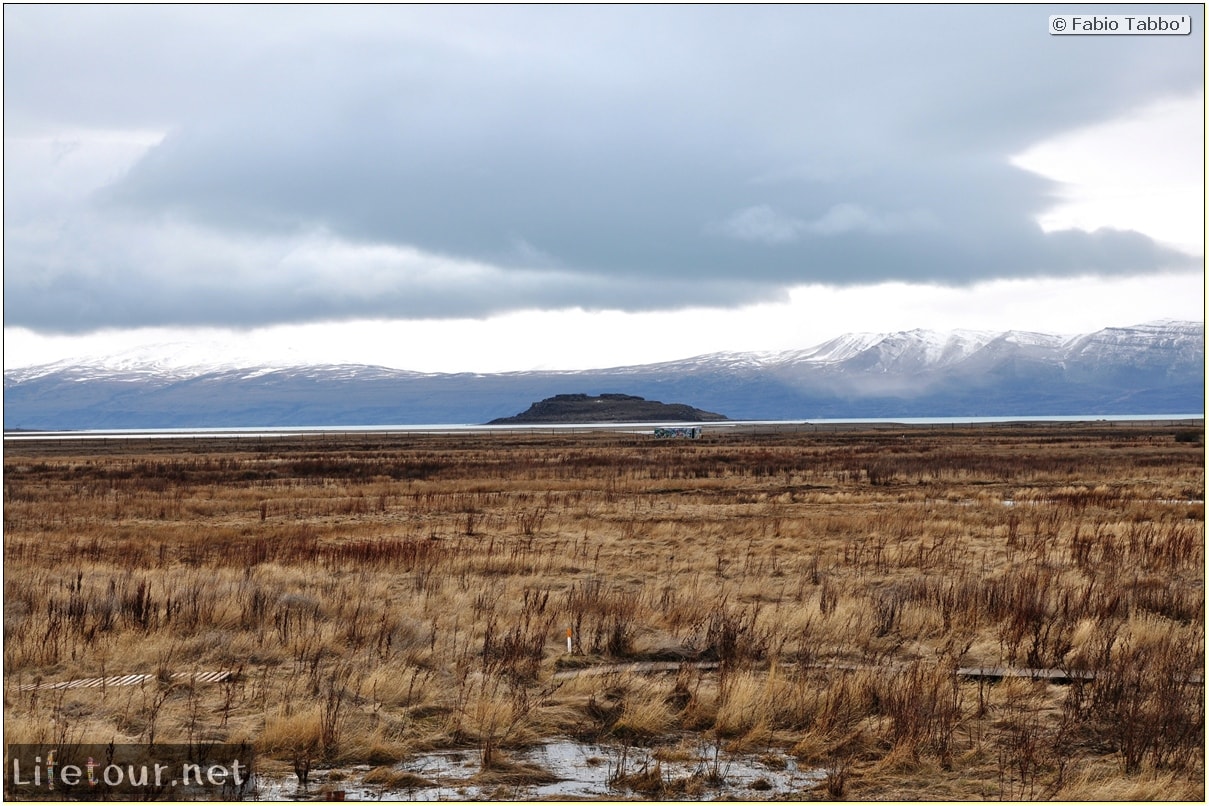 Fabios-LifeTour-Argentina-2015-July-August-El-Calafate-Reserva-Laguna-Nimez-4104