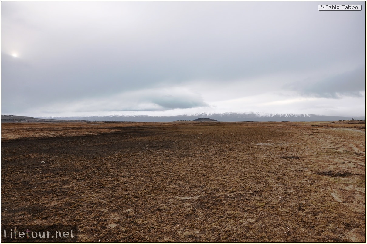 Fabios-LifeTour-Argentina-2015-July-August-El-Calafate-Reserva-Laguna-Nimez-5780