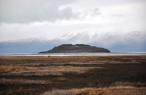 Fabios-LifeTour-Argentina-2015-July-August-El-Calafate-Reserva-Laguna-Nimez-6743-cover-1