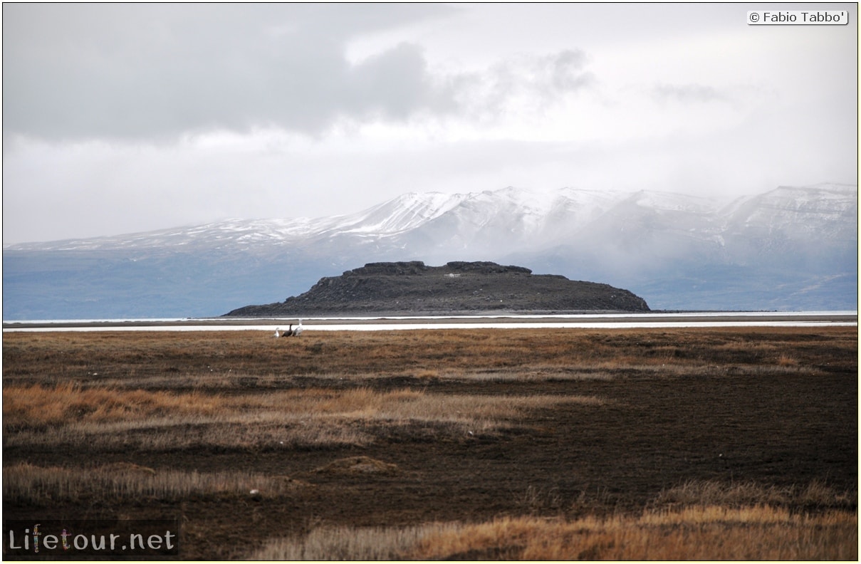 Fabios-LifeTour-Argentina-2015-July-August-El-Calafate-Reserva-Laguna-Nimez-6743-cover-2