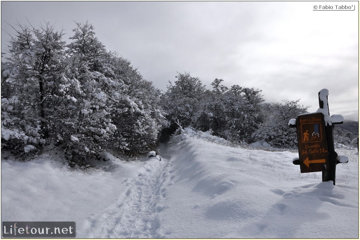 Fabios-LifeTour-Argentina-2015-July-August-El-Chalten-Trekking-1-Chorrillo-del-Salto-4498