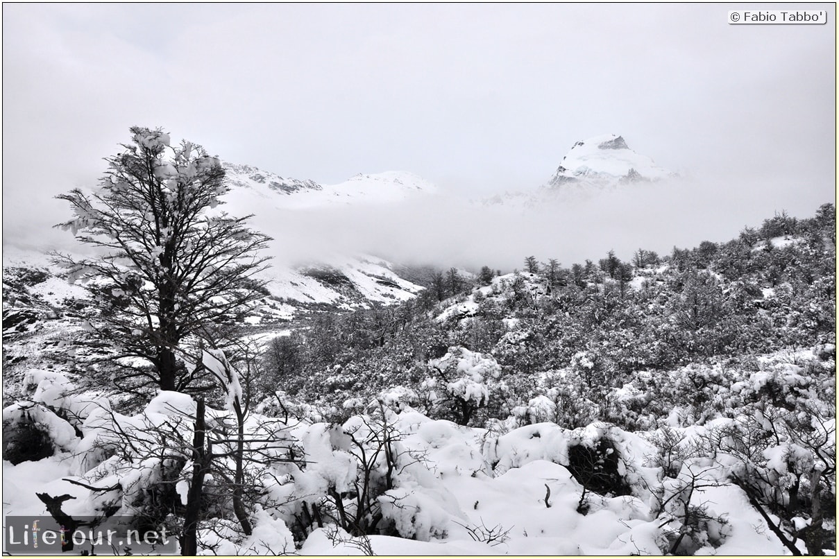 Fabios-LifeTour-Argentina-2015-July-August-El-Chalten-Trekking-3-Laguna-del-Torre-3263