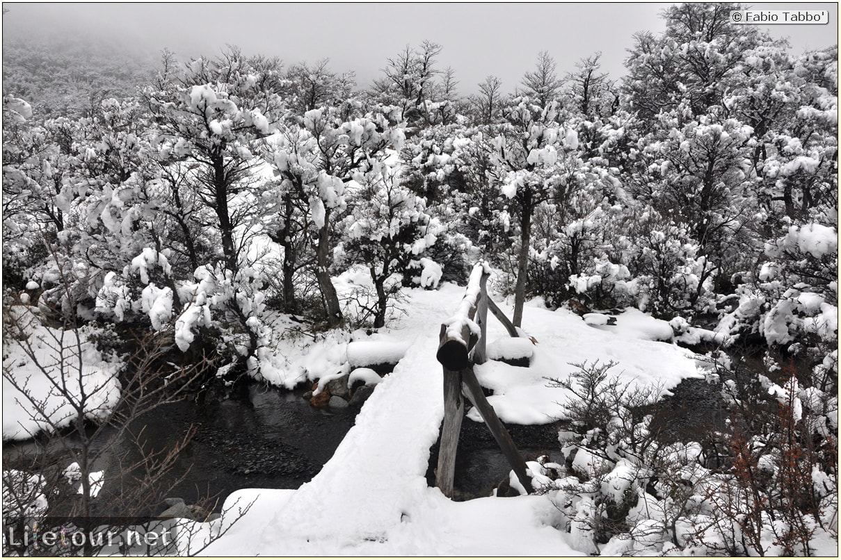 Fabios-LifeTour-Argentina-2015-July-August-El-Chalten-Trekking-3-Laguna-del-Torre-5218