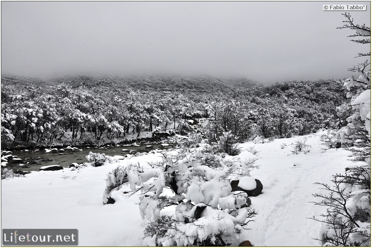 Fabios-LifeTour-Argentina-2015-July-August-El-Chalten-Trekking-3-Laguna-del-Torre-5304