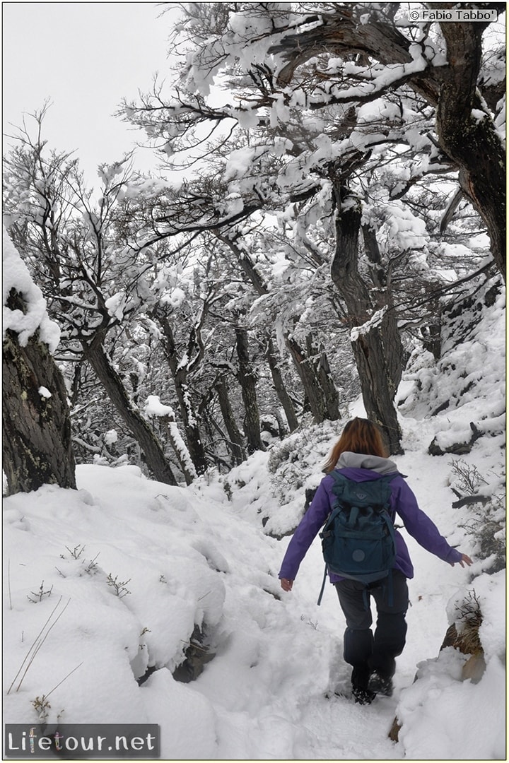 Fabios-LifeTour-Argentina-2015-July-August-El-Chalten-Trekking-3-Laguna-del-Torre-7226