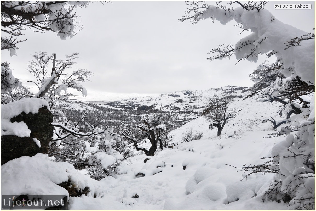 Fabios-LifeTour-Argentina-2015-July-August-El-Chalten-Trekking-3-Laguna-del-Torre-7500