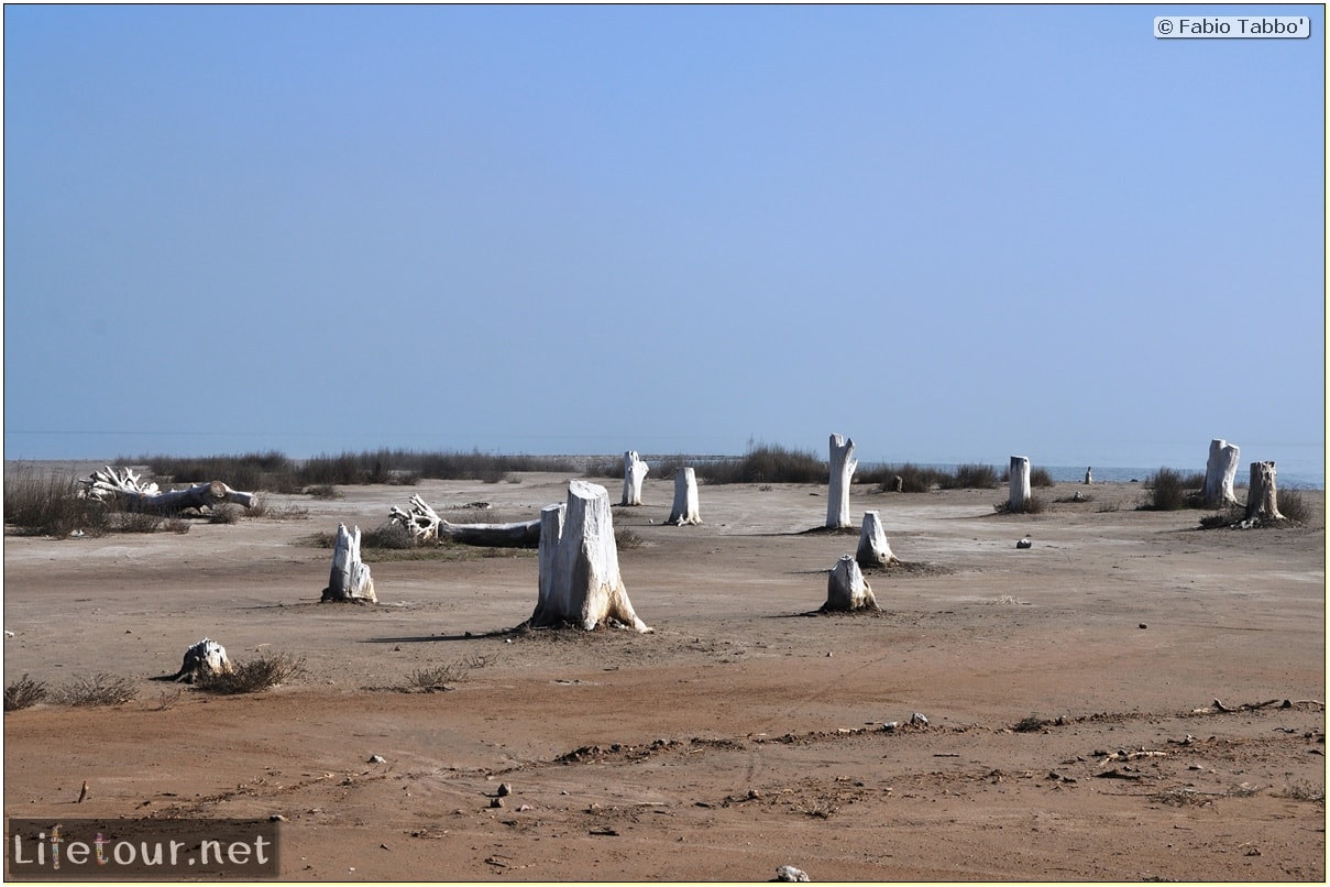 Fabios-LifeTour-Argentina-2015-July-August-Epecuen-Epecuen-ghost-town-1.-Bike-Trip-to-the-Epecuen-ghost-town-3913