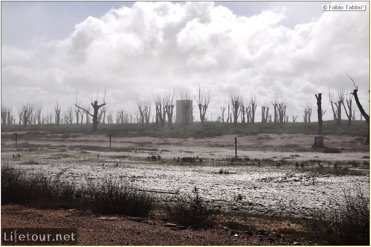 Fabios-LifeTour-Argentina-2015-July-August-Epecuen-Epecuen-ghost-town-1.-Bike-Trip-to-the-Epecuen-ghost-town-4339