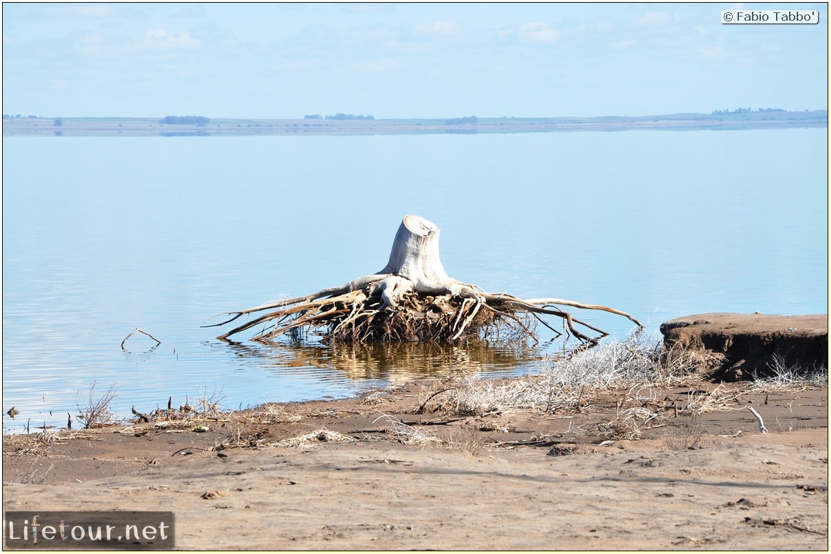 Fabios-LifeTour-Argentina-2015-July-August-Epecuen-Epecuen-ghost-town-1.-Bike-Trip-to-the-Epecuen-ghost-town-6902