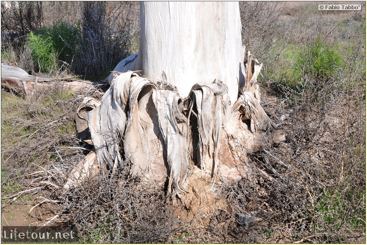 Fabios-LifeTour-Argentina-2015-July-August-Epecuen-Epecuen-ghost-town-1.-Bike-Trip-to-the-Epecuen-ghost-town-6971