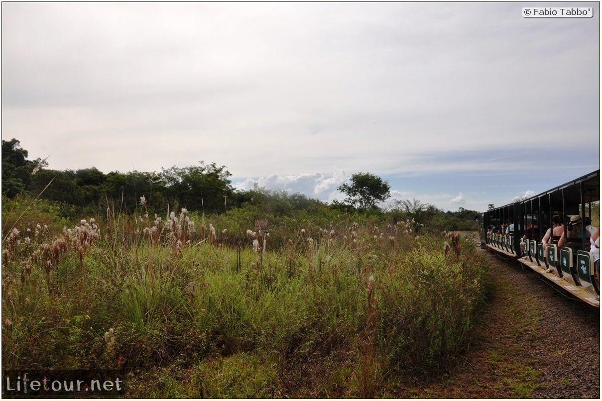 Fabios-LifeTour-Argentina-2015-July-August-Puerto-Iguazu-falls-The-Iguazu-falls-1739