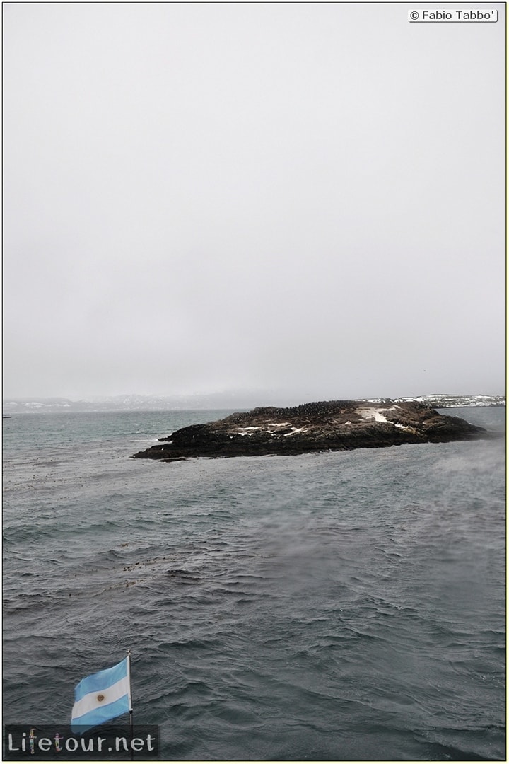 Fabios-LifeTour-Argentina-2015-July-August-Ushuaia-Beagle-Channel-3-Cormorants-3812