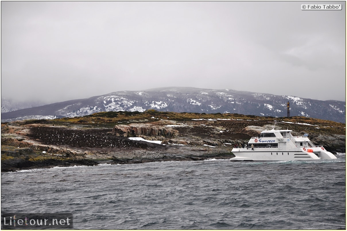 Fabios-LifeTour-Argentina-2015-July-August-Ushuaia-Beagle-Channel-3-Cormorants-8083