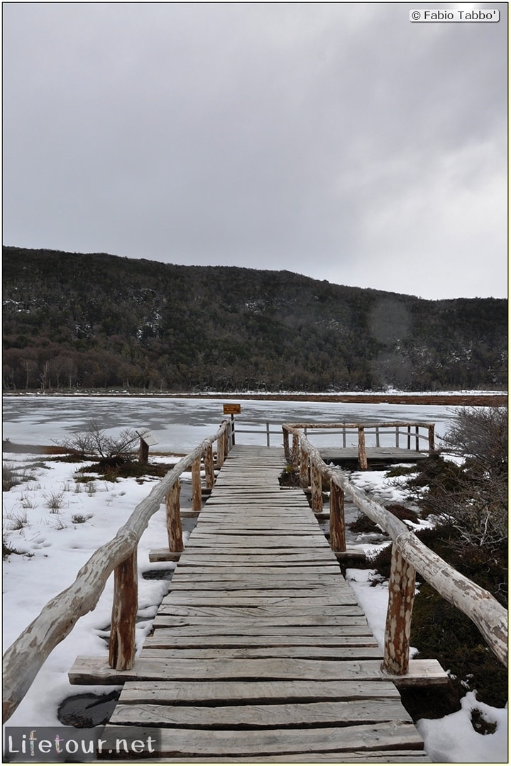 Fabios-LifeTour-Argentina-2015-July-August-Ushuaia-Parque-Tierra-del-Fuego-4-Erratic-trekking-6090-cover