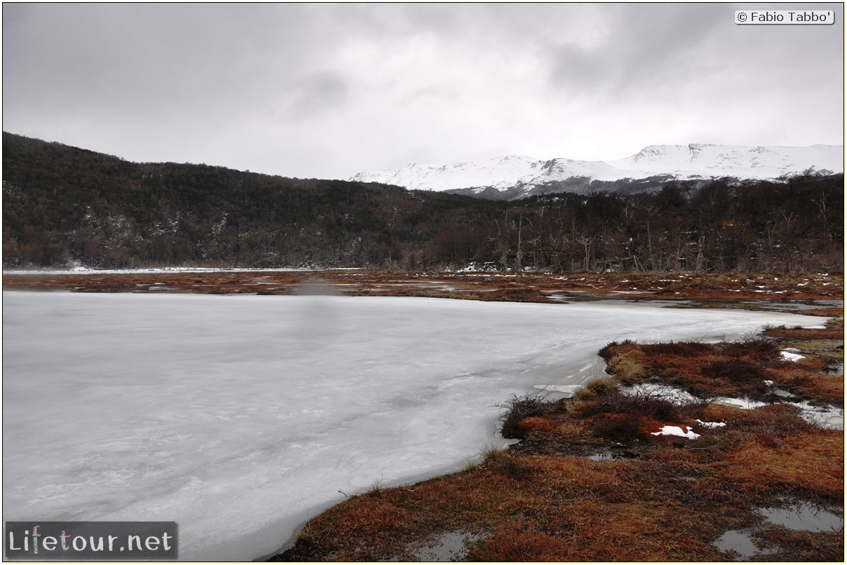 Fabios-LifeTour-Argentina-2015-July-August-Ushuaia-Parque-Tierra-del-Fuego-4-Erratic-trekking-in-Tierra-del-Fuego-6172