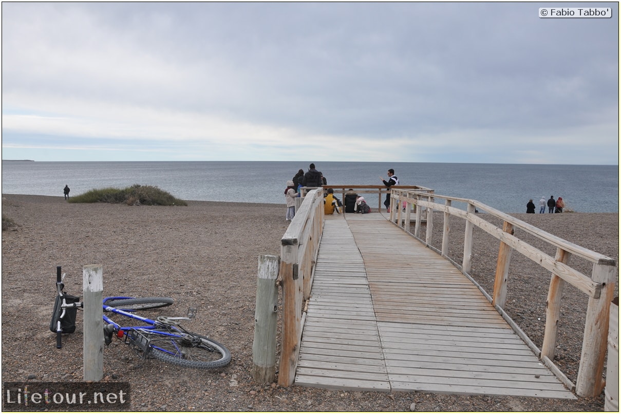 Puerto-Madryn-El-Doradillo-whale-watching-1.-Bicycle-trip-to-El-Doradillo-1178