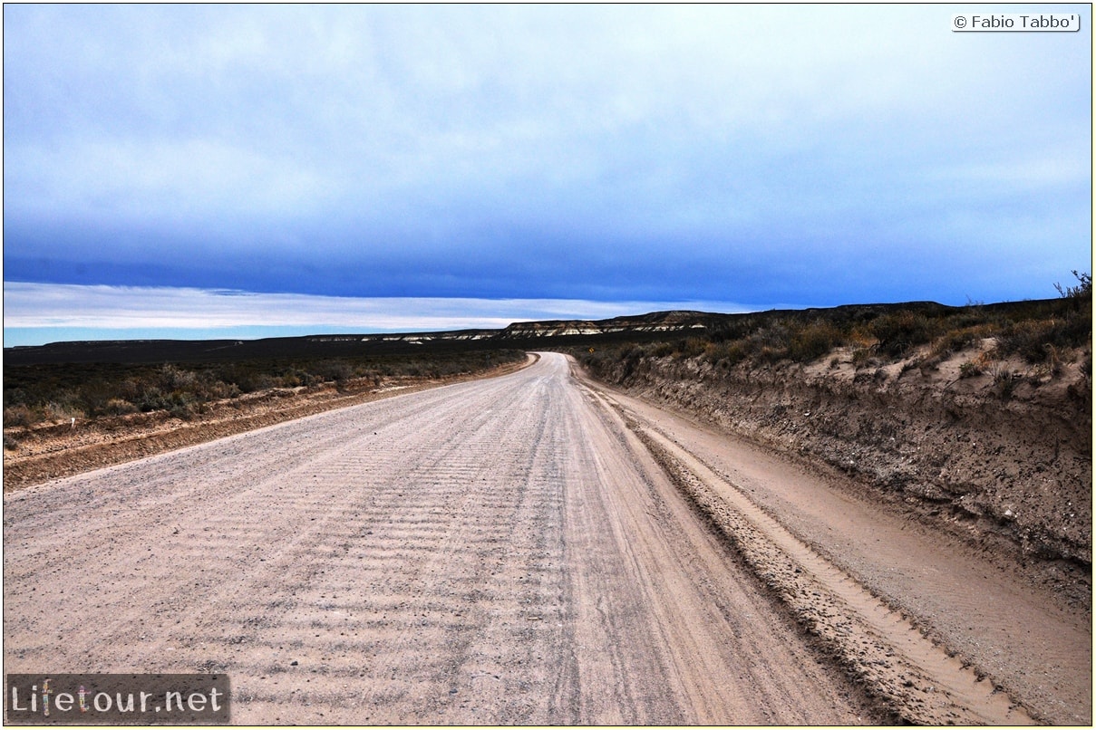 Puerto-Madryn-El-Doradillo-whale-watching-1.-Bicycle-trip-to-El-Doradillo-850