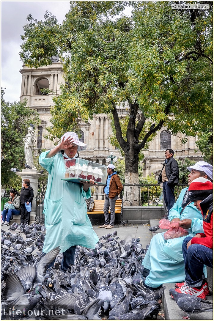 Fabio_s-LifeTour---Bolivia-(2015-March)---La-Paz---Plaza-Murillo---2939-cover