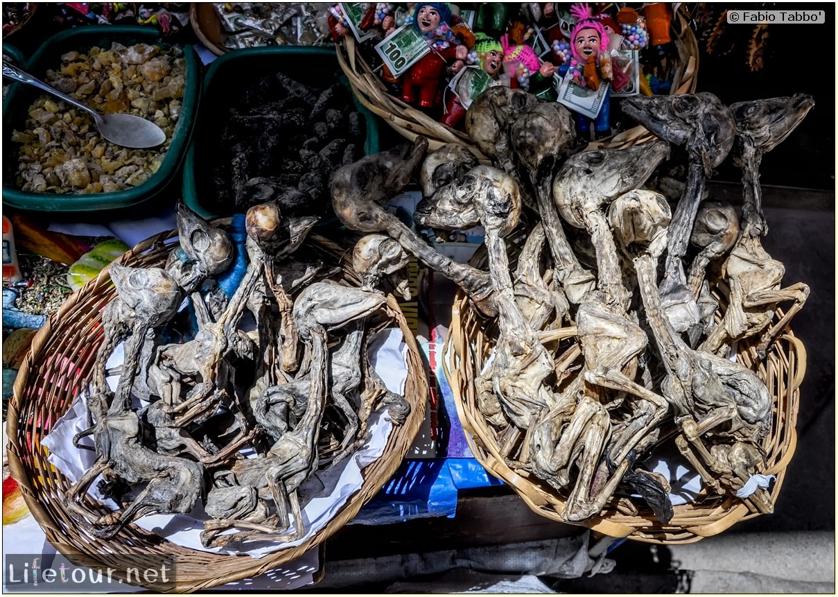 Fabio_s-LifeTour---Bolivia-(2015-March)---La-Paz---Witches-Market-(Mercado-de-las-Brujas)---6806