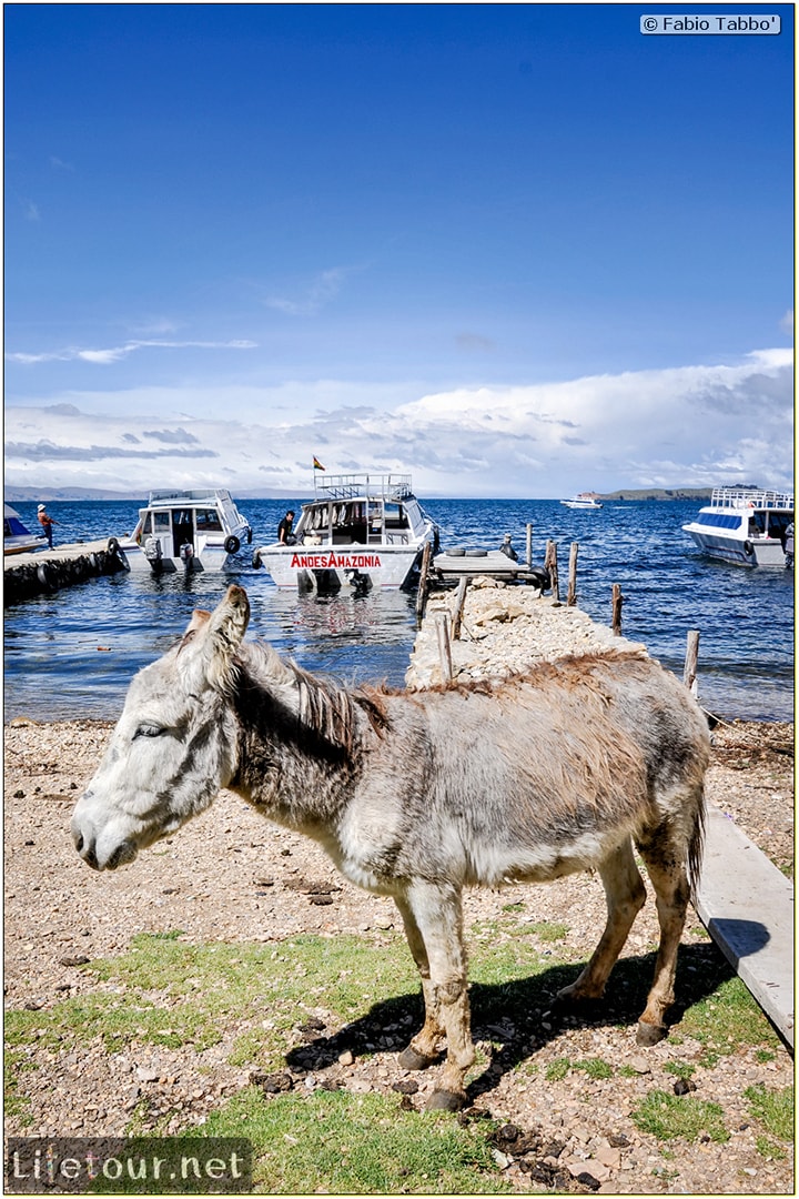 Fabio_s-LifeTour---Bolivia-(2015-March)---Titicaca---Titicaca-Lake---1.-Isla-del-sol---6050
