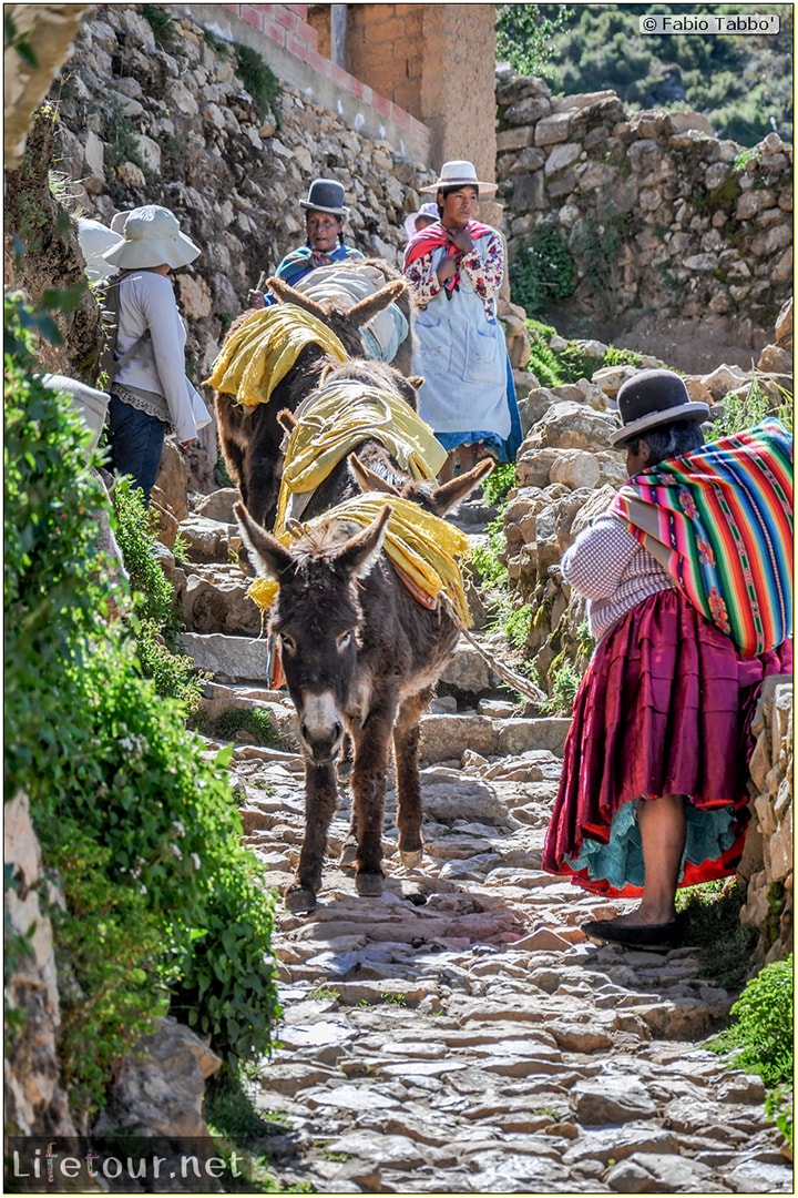 Fabio_s-LifeTour---Bolivia-(2015-March)---Titicaca---Titicaca-Lake---1.-Isla-del-sol---6425