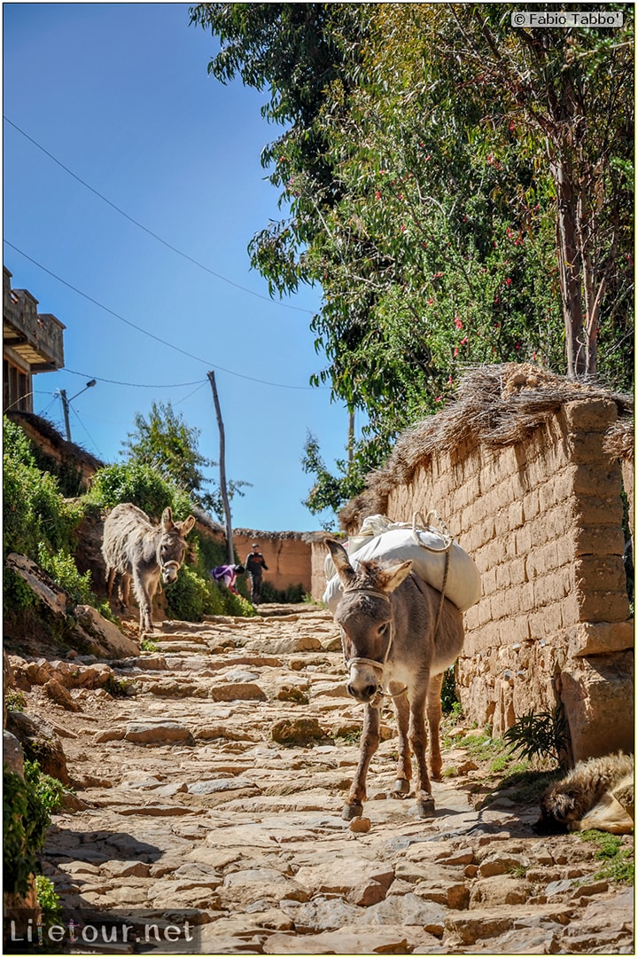 Fabio_s-LifeTour---Bolivia-(2015-March)---Titicaca---Titicaca-Lake---1.-Isla-del-sol---6926