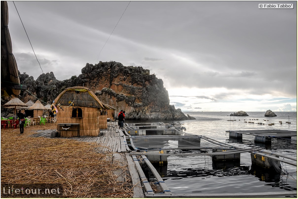 Fabio_s-LifeTour---Bolivia-(2015-March)---Titicaca---Titicaca-Lake---2.-Islas-flotantes---9647