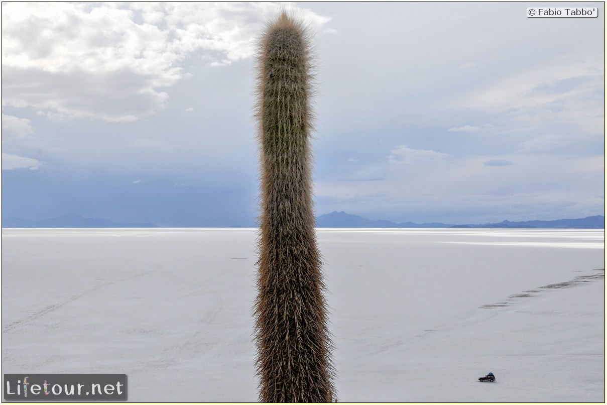 Fabio_s-LifeTour---Bolivia-(2015-March)---Ujuni---Salar-de-Ujuni---4--Incahuasi-Island-(Isla-de-los-Pescados)---1-cover