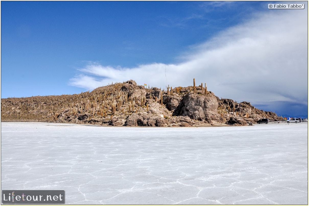 Fabio_s-LifeTour---Bolivia-(2015-March)---Ujuni---Salar-de-Ujuni---4--Incahuasi-Island-(Isla-de-los-Pescados)---11149