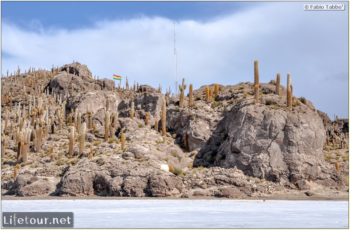 Fabio_s-LifeTour---Bolivia-(2015-March)---Ujuni---Salar-de-Ujuni---4--Incahuasi-Island-(Isla-de-los-Pescados)---11157