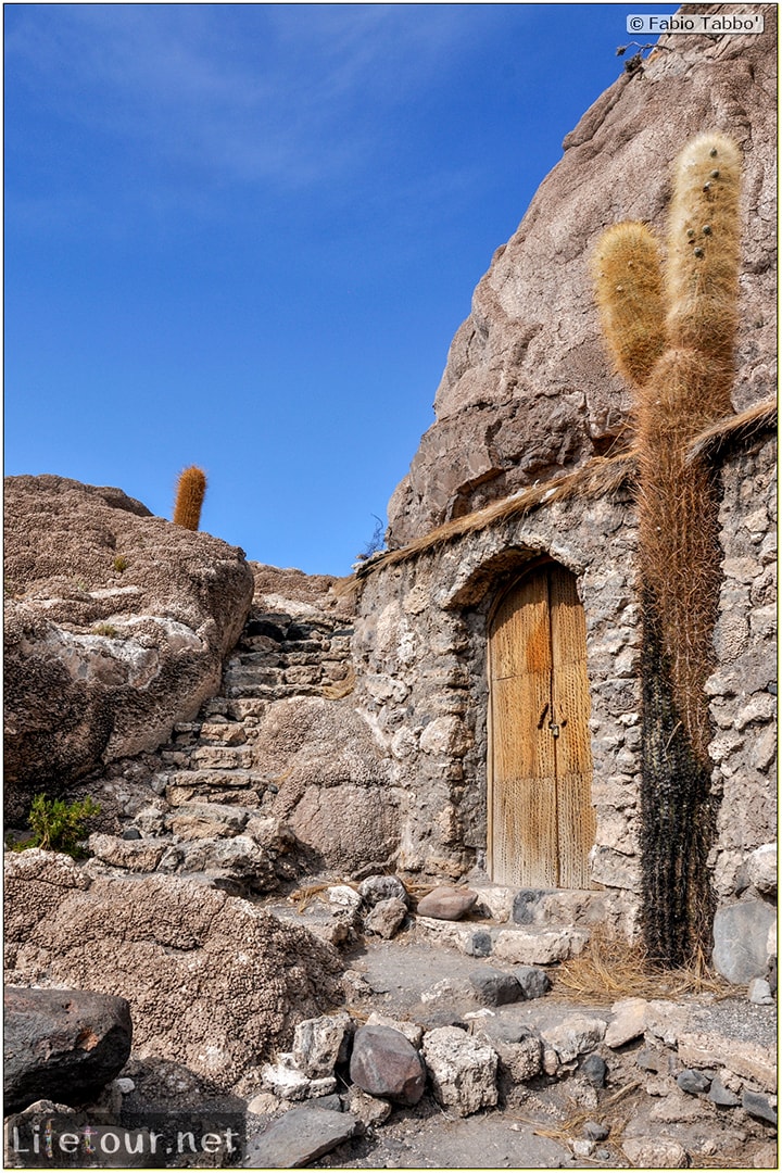 Fabio_s-LifeTour---Bolivia-(2015-March)---Ujuni---Salar-de-Ujuni---4--Incahuasi-Island-(Isla-de-los-Pescados)---11413