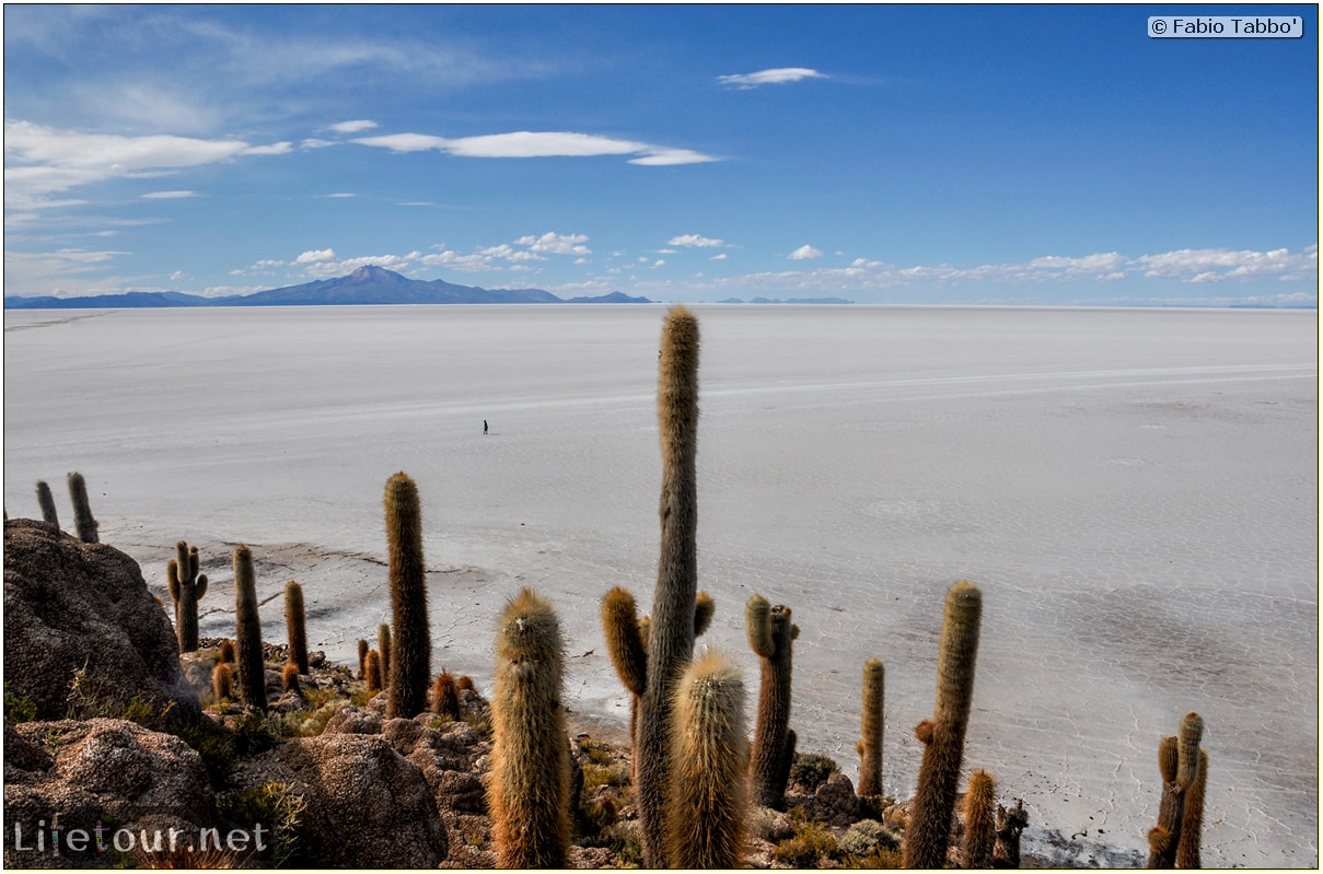 Fabio_s-LifeTour---Bolivia-(2015-March)---Ujuni---Salar-de-Ujuni---4--Incahuasi-Island-(Isla-de-los-Pescados)---11448-cover