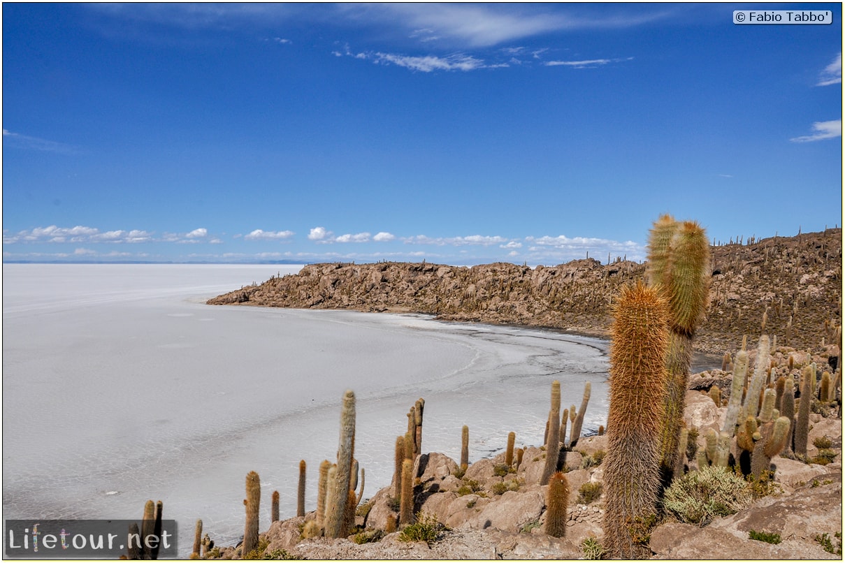 Fabio_s-LifeTour---Bolivia-(2015-March)---Ujuni---Salar-de-Ujuni---4--Incahuasi-Island-(Isla-de-los-Pescados)---11739