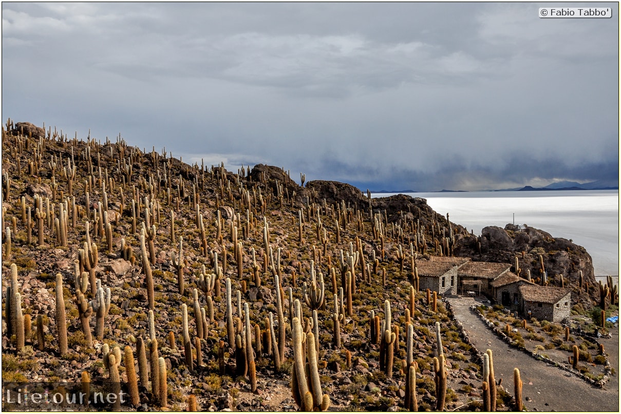 Fabio_s-LifeTour---Bolivia-(2015-March)---Ujuni---Salar-de-Ujuni---4--Incahuasi-Island-(Isla-de-los-Pescados)---11754-cover