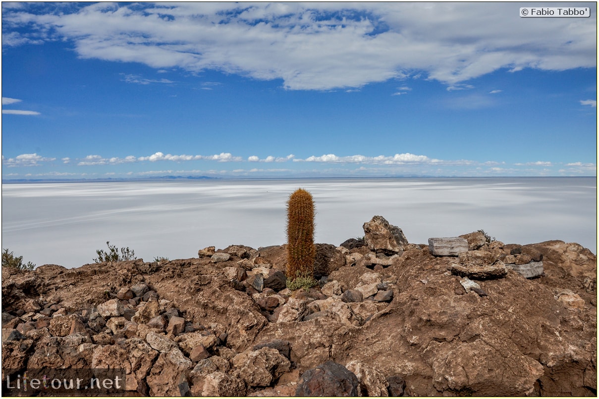 Fabio_s-LifeTour---Bolivia-(2015-March)---Ujuni---Salar-de-Ujuni---4--Incahuasi-Island-(Isla-de-los-Pescados)---11877-cover