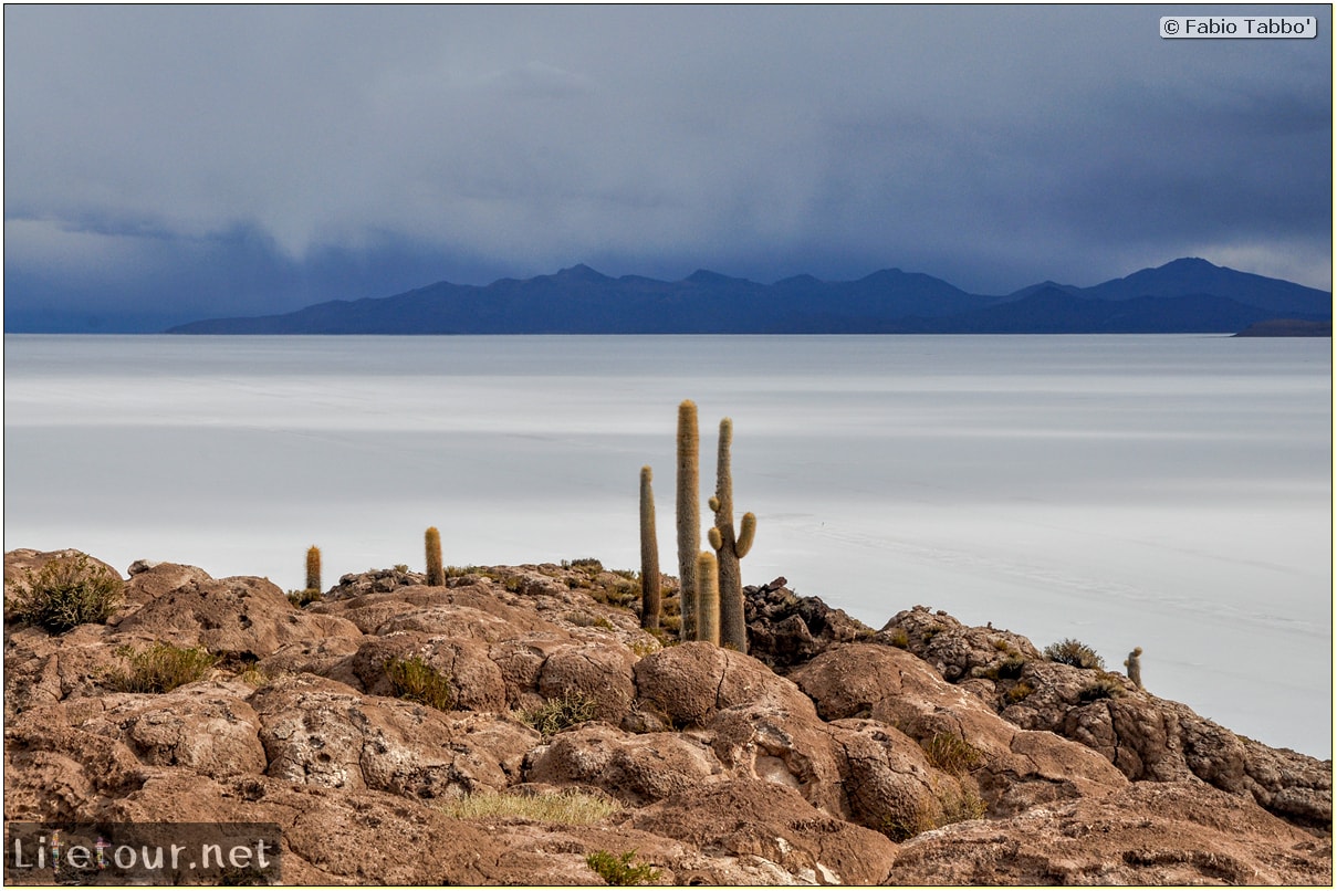 Fabio_s-LifeTour---Bolivia-(2015-March)---Ujuni---Salar-de-Ujuni---4--Incahuasi-Island-(Isla-de-los-Pescados)---11918