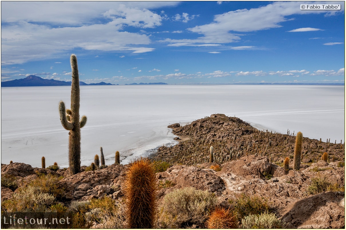 Fabio_s-LifeTour---Bolivia-(2015-March)---Ujuni---Salar-de-Ujuni---4--Incahuasi-Island-(Isla-de-los-Pescados)---11929