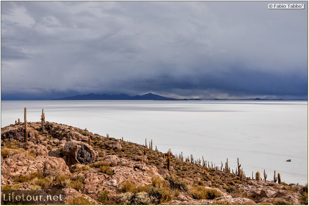 Fabio_s-LifeTour---Bolivia-(2015-March)---Ujuni---Salar-de-Ujuni---4--Incahuasi-Island-(Isla-de-los-Pescados)---11932