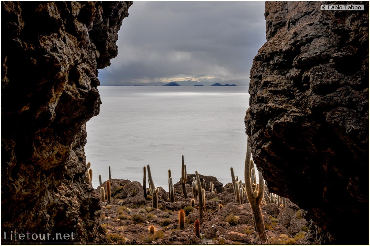Fabio_s-LifeTour---Bolivia-(2015-March)---Ujuni---Salar-de-Ujuni---4--Incahuasi-Island-(Isla-de-los-Pescados)---11961-cover