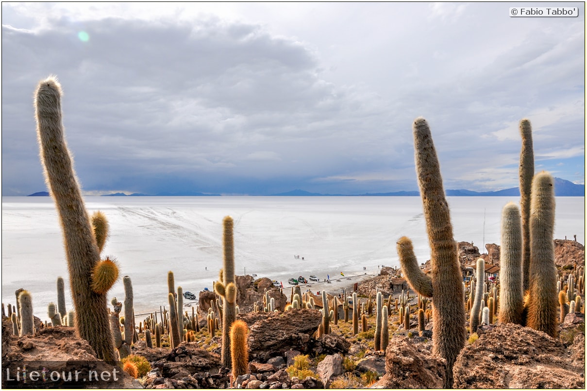 Fabio_s-LifeTour---Bolivia-(2015-March)---Ujuni---Salar-de-Ujuni---4--Incahuasi-Island-(Isla-de-los-Pescados)---12000