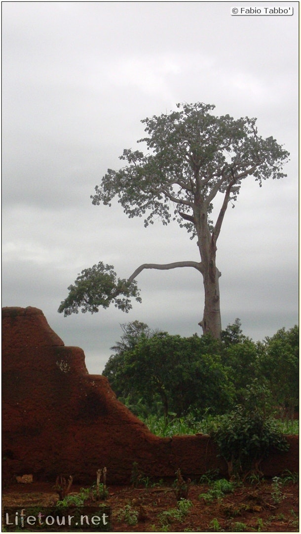 Fabio's LifeTour - Benin (2013 May) - Abomey - Royal Palace - 1565