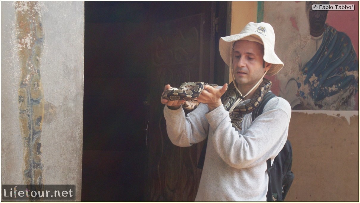 Fabios-LifeTour-Benin-2013-May-Ouidah-Temple-des-Pythons-1442-cover-2