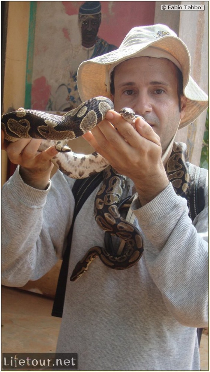 Fabios-LifeTour-Benin-2013-May-Ouidah-Temple-des-Pythons-1445-cover