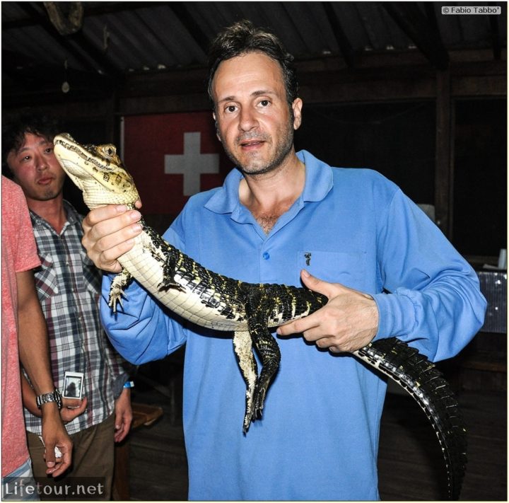 Fabio's LifeTour - Brazil (2015 April-June and October) - Manaus - Amazon Jungle - Alligator petting - 8701