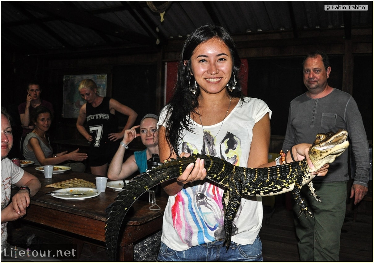 Fabio's LifeTour - Brazil (2015 April-June and October) - Manaus - Amazon Jungle - Alligator petting - 8953