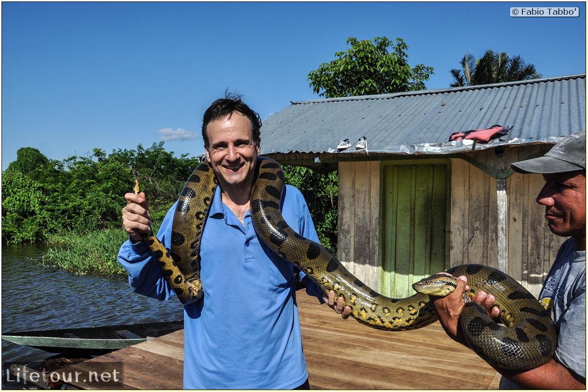 Fabio's LifeTour - Brazil (2015 April-June and October) - Manaus - Amazon Jungle - Anaconda petting - 11226