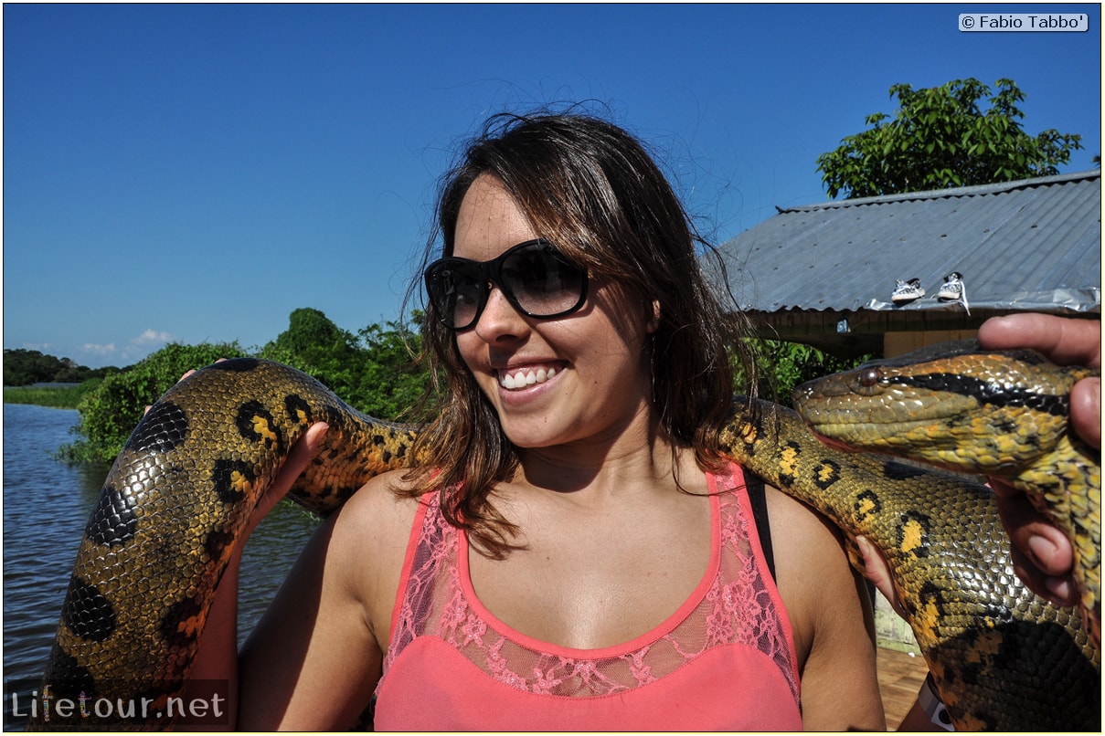 Fabio's LifeTour - Brazil (2015 April-June and October) - Manaus - Amazon Jungle - Anaconda petting - 11248