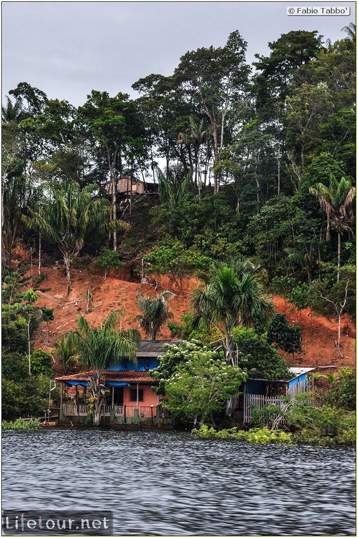 Fabio's LifeTour - Brazil (2015 April-June and October) - Manaus - Amazon Jungle - Cruising the Amazon river- other pictures - 3610