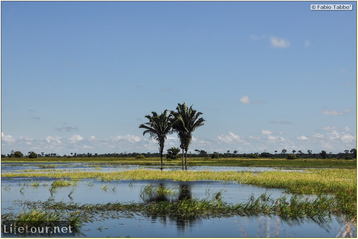 Fabio's LifeTour - Brazil (2015 April-June and October) - Manaus - Amazon Jungle - Cruising the Amazon river- other pictures - 9836 cover